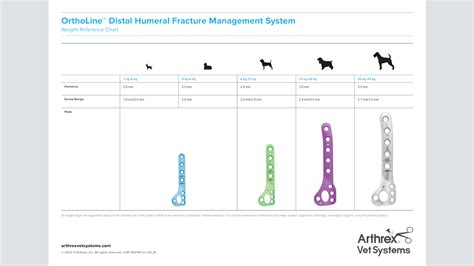 Arthrex OrthoLine Fracture System