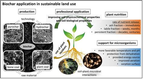 Main Types Of Biochar And Their Agricultural Uses Download