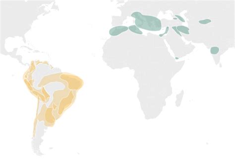 Discovering Your Ancestry: Exploring 58 New Genetic Groups - 23andMe Blog