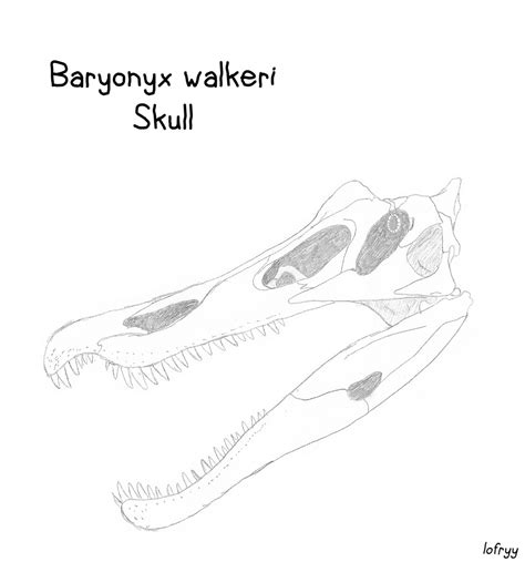 Baryonyx Skull by Creature-Studios on DeviantArt