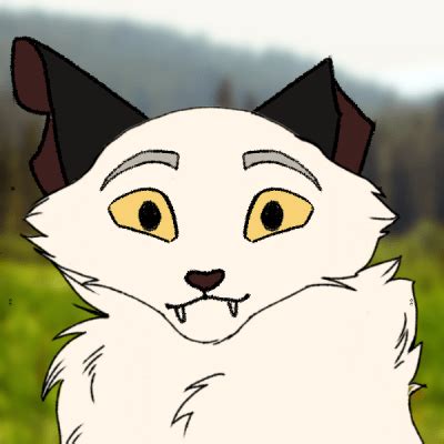 Warrior cat Maker Picrew つくってあそべる画像メーカー