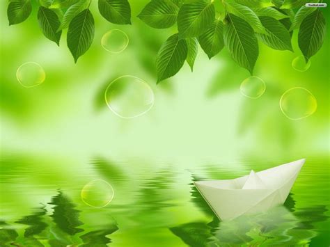 Green Leaves Wallpapers Top Những Hình Ảnh Đẹp