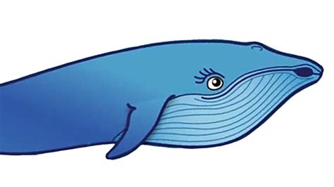 Whales! | PBS LearningMedia