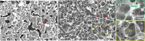 The Fracture Surface Morphologies Of The Silver Thick Film Sintered At