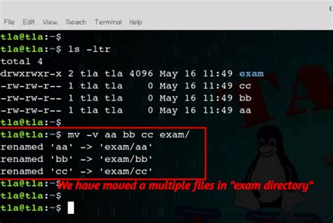 Mv Command In Linux With Options Taste The Linux