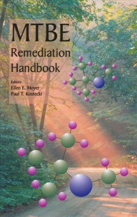 Mtbe Remediation Handbook Nhbs Academic And Professional Books