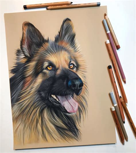 Realisme In Portret Online Cursus Honden Tekenen Met Pastel