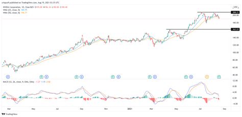 Nvidia stock price forecast: double-top forms amid strong earnings