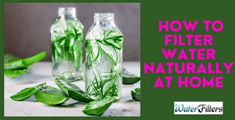 How To Filter Water Naturally At Home