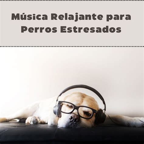 Música Relajante para Perros Estresados Dulces Sonidos para Calmar y