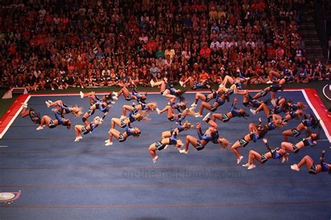 a group of cheerleaders perform in front of an audience