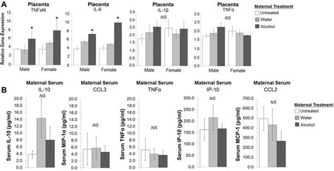 Effect Of Low Dose Prenatal Alcohol Exposure On Placenta Gene