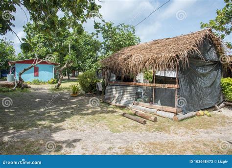 Village Thatched Roof Shed Editorial Stock Photo Image Of Materials