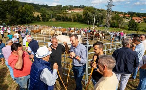 Beranga Recupera La Feria Ganadera Con Motivo De Las Fiestas De San