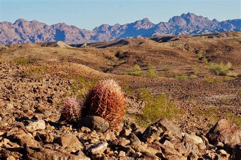 Exploring the Cibola National Wildlife Refuge