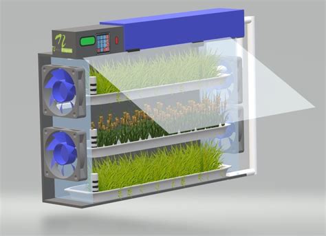 Indoor Farming Hydroponic Plant Grow Chamber 3 Layer | Nevon Projects