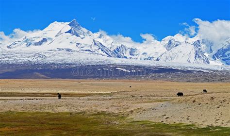 Himalayas View From The Tibetan Plateau Stock Photo Image Of