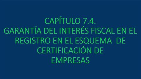 Rgce 74 Garantía Del Interés Fiscal En El Registro En El Esquema De