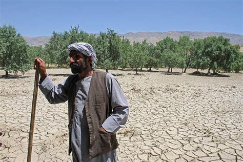 Drought Threatens The Livelihoods Of Million Farmers In Afghanistan