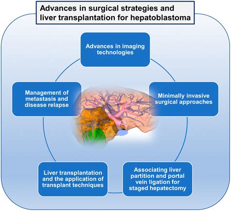 Recent Advances In Surgical Strategies And Liver Transplantation For Hepatoblastoma Honda