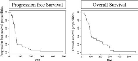 Progression Free Survival And Overall Survival Probabilities