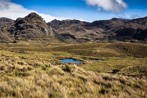 Cajas National Park Gulliver Expeditions