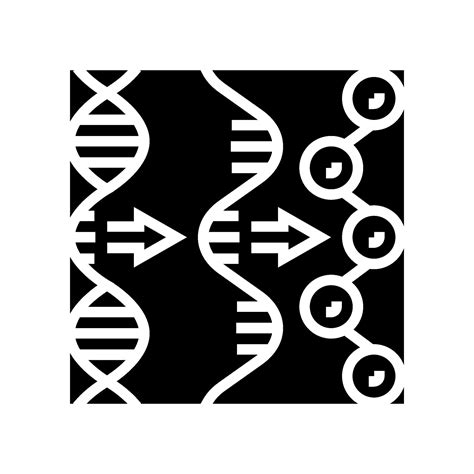 Gene Expression Cryptogenetics Glyph Icon Vector Illustration 36929862