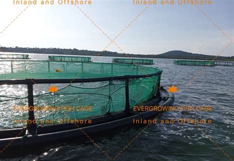 Floating Aquaculture Deep Sea Farming Hdpe Pipe Fish Net Cage Fishing