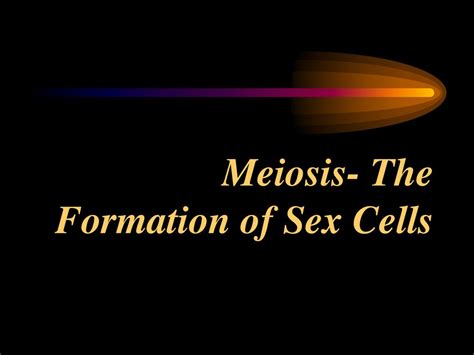 Meiosis The Formation Of Sex Cells Ppt Download