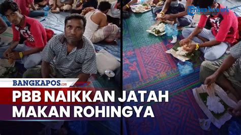 PBB Naikkan Jatah Makan Pengungsi Rohingya Dari Rp 31 Ribu Jadi Rp 155