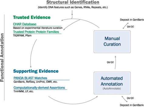 JCVI Prokaryotic Genome Annotation The Annotation Pipeline Begins With