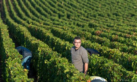 Domaine Jean Tardy Fils A Legacy Of Burgundian Excellence