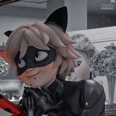 Matching Icons Ladynoir Miraculous Ladybug Movie Miraculous