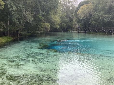 Aguas Termales En Florida Disfrutar En USA