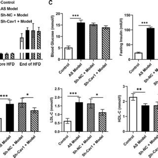 Cav On As Symptoms In Mice A The Knockdown Efficiency Of Lentivirus