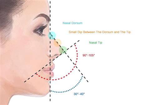 Greek Nose Shape Women