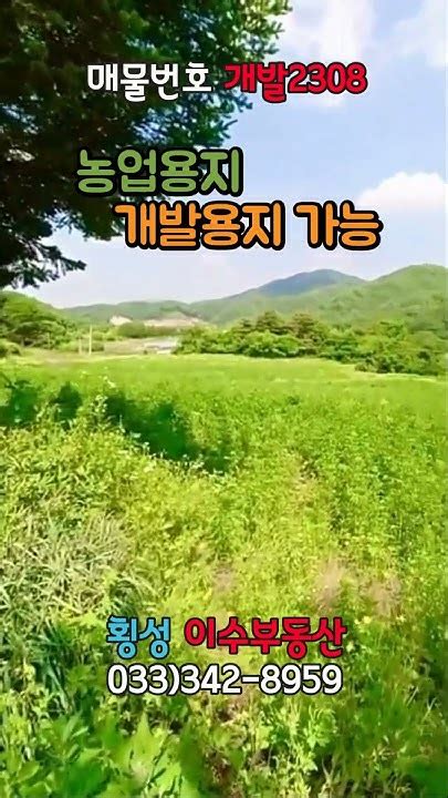 강원도 횡성부동산 개발용지 횡성토지매매 강원도 횡성군 둔내부동산 둔내면토지 Shorts Youtube