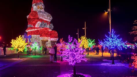 Guiness Buch Rekorde Zu Weihnachten Von Riesigen B Umen Und Winzigen