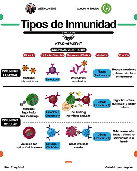 Mauricio Montelongo On Twitter Gu A R Pida Lo Que Tienes Que Saber