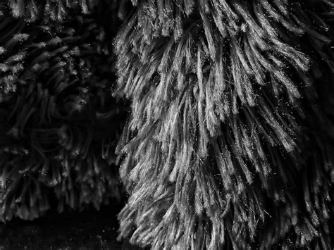 premium photo decoration  thread