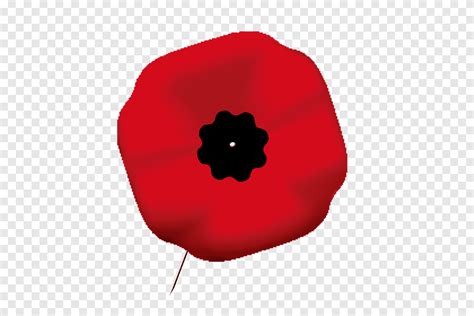 Remembrance Poppy Armistice Day In Flanders Fields Memorial Day Poppy