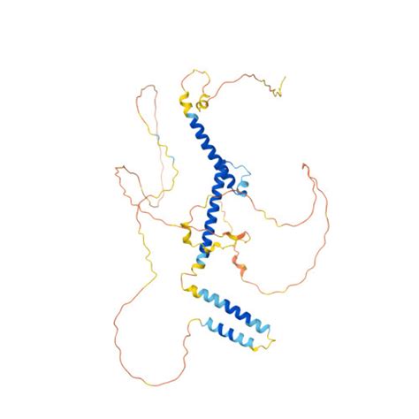 RCSB PDB AF AFO14503F1 Computed Structure Model Of Class E Basic