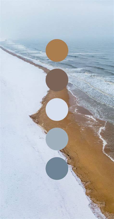 Color Palette Moodboard Artofit