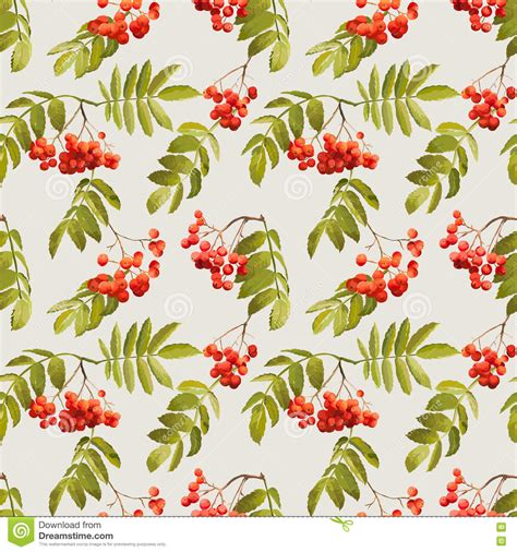 Autumn Rowan Berry Background Teste Padr O Sem Emenda Do Vintage