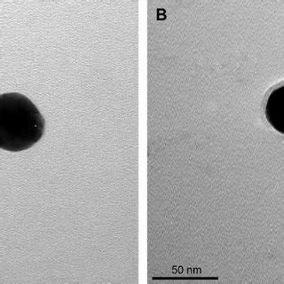 Design Of AuNP Capped Carbon Nanobottle Through Cleavable Linkers