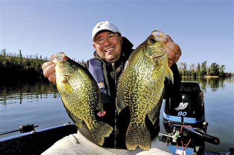 Giant Northern Crappies In Fisherman