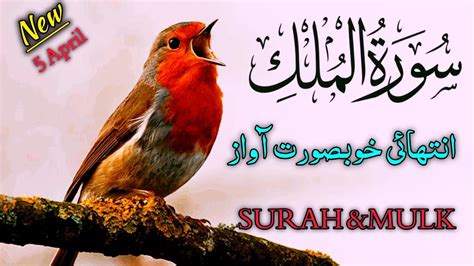 Surah Mulk Full Ep 0123 By Qari Naveed Yousuf 67 سورة الملك