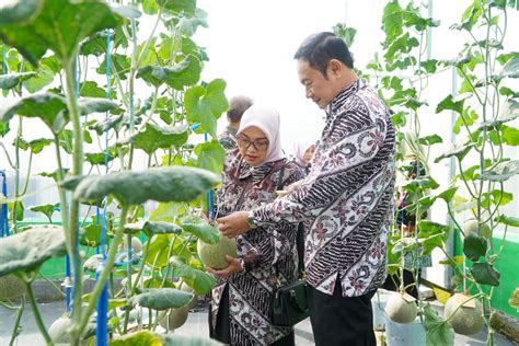 Diversifikasi Pertanian Di Lamongan Dukung Program Lumbung Pangan Nasional