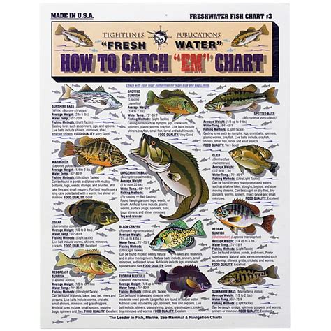 Catfish Weight Chart A Visual Reference Of Charts Chart Master