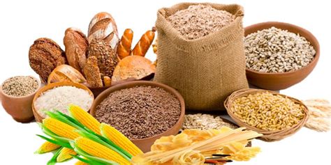 Alimentos Ricos En Carbohidratos